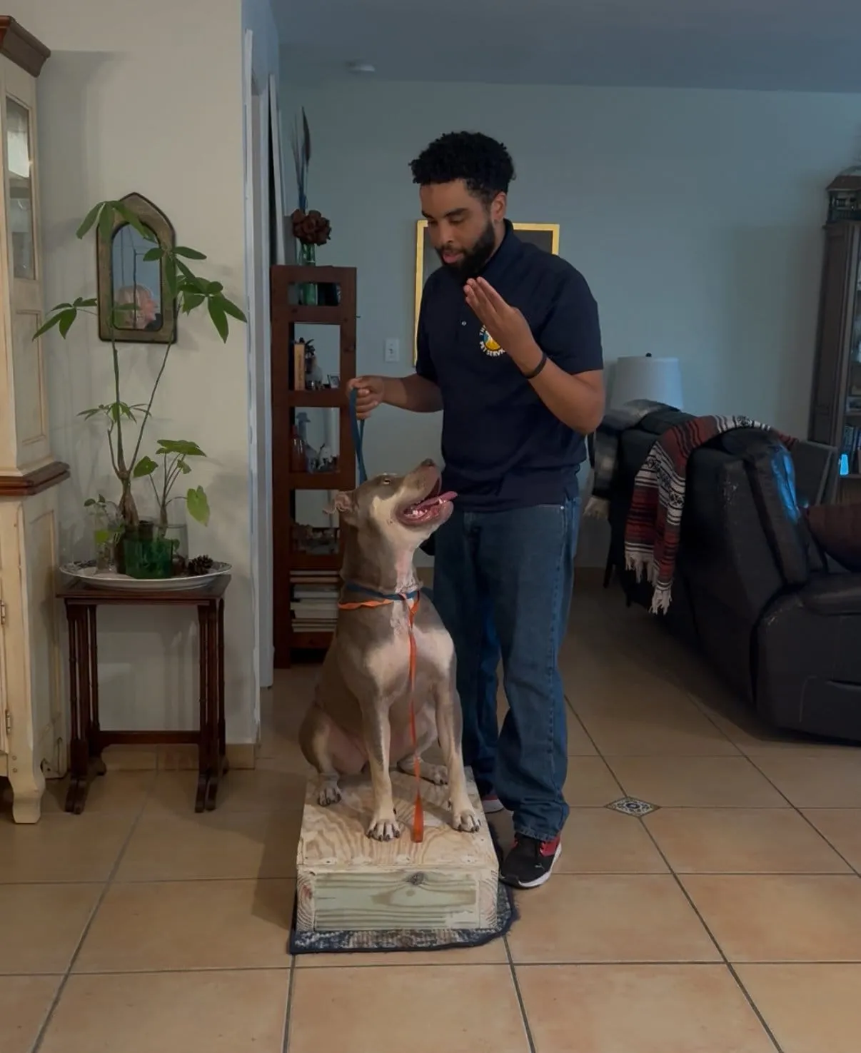 Trainer working on place training with a dog standing on a mat