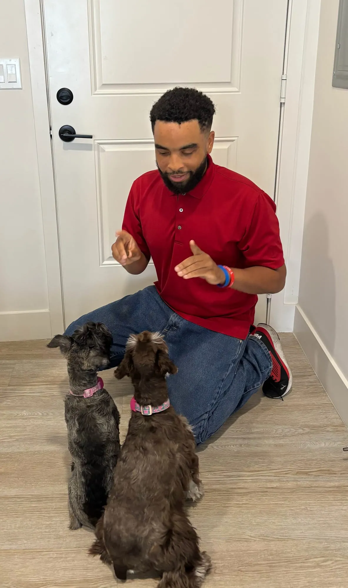 MK9 trainer crouching and playing with two small dogs indoors
